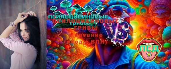 гашиш Богородск