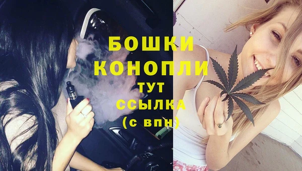 трава Богородицк